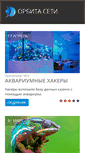 Mobile Screenshot of orbitnetwork.ru